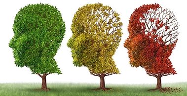 How to prevent getting dementia or Alzheimer's. 