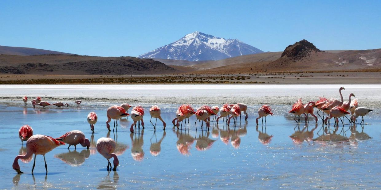 Bolivia information for vacation travel package