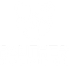 Panther Holdings