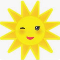SUNSHINE SOLUTIONS BY B  
