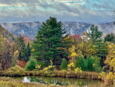Private pond at a Catskills waterfront wedding venue in the Upper Delaware River near Callicoon NY