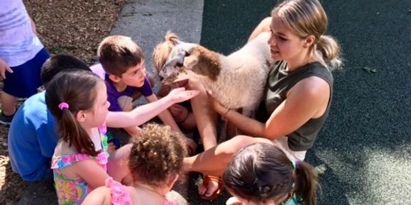 travel petting zoo nyc