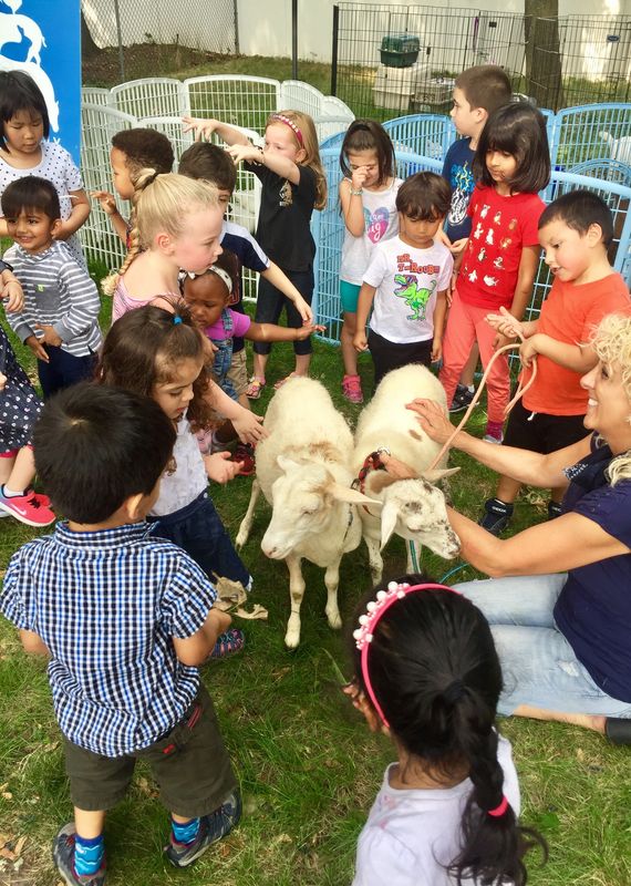 petting zoo nj birthday party