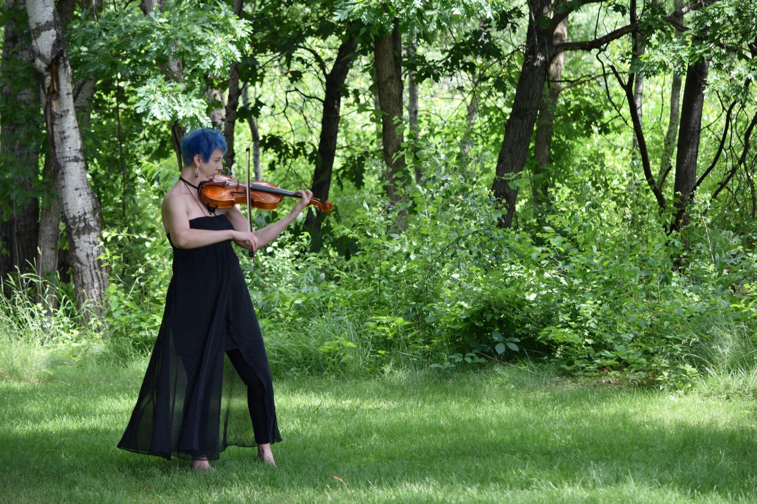 Violin Lessons, Viola Lessons