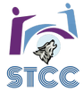 Sandi Taylor Counselling & Consulting