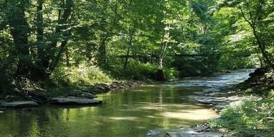 This trail is at Pulaski county park 
1200 Highway 3189, Nancy, KY 42544
Phone: (606) 636-6450
Eagle