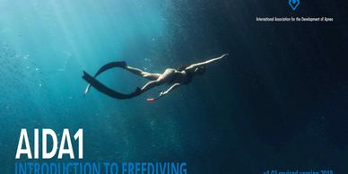 Freediver swimming underwater with fins.