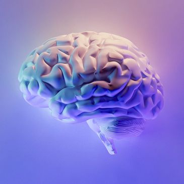 Digital picture of a brain, purple hue