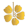 Bloom Events Management