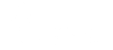 A tropical-themed logo with a palm tree and a wave.