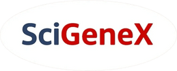SciGeneX