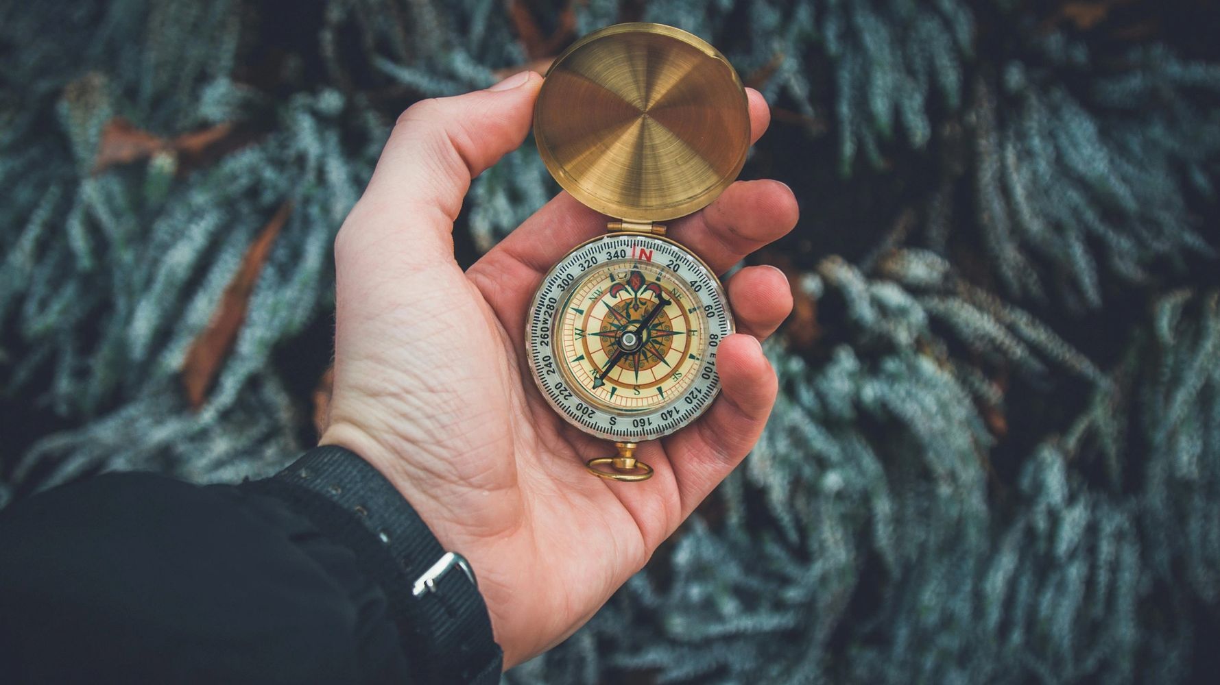 Transformation navigator holding a compass.