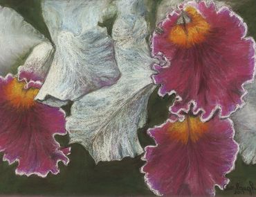 Dark Pink Orchid
Pastels
20"x26"