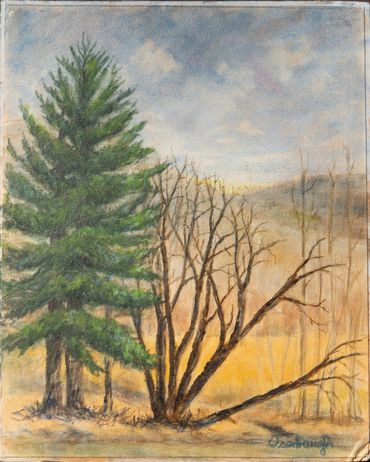 Winter Pine
8x10