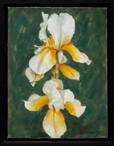 Three Sisters (Yellow Iris)
18x24