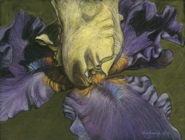 River Queen
Pastels
20"x26"