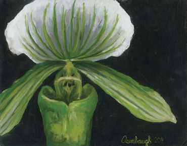 Green Orchid
Oil
10"x12"
