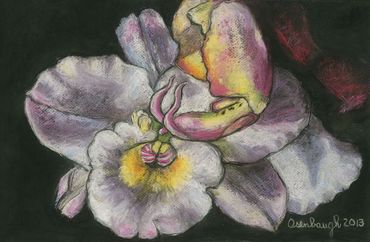 Magic Carpet Ride
Pastel
18"x22"