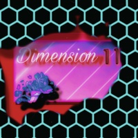 Dimension 11
