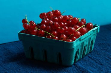 Red Currants 
Farmer's Market Photography
New York City Food Photographer