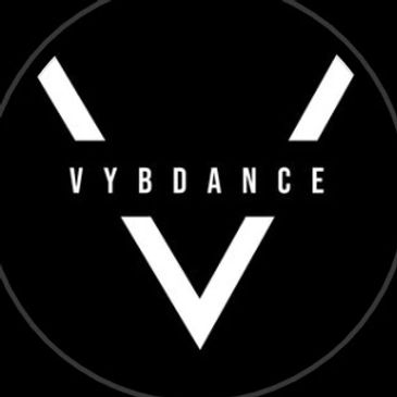 Stylized black and white logo with the word VYBDANCE.