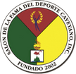 Salón De La Fama Del Deporte Cayeyano Inc.