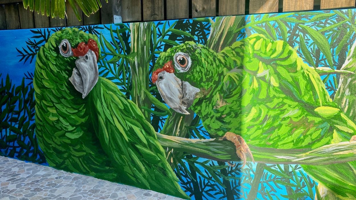 "Boricua parrots", 2024
by Jaime Díaz 
Acrylic-latex water based on concrete
100 sq ft

