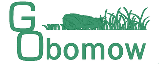 GObomow Automatic Mow Service