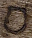 Oxbow Silver Jewelry by Cadence