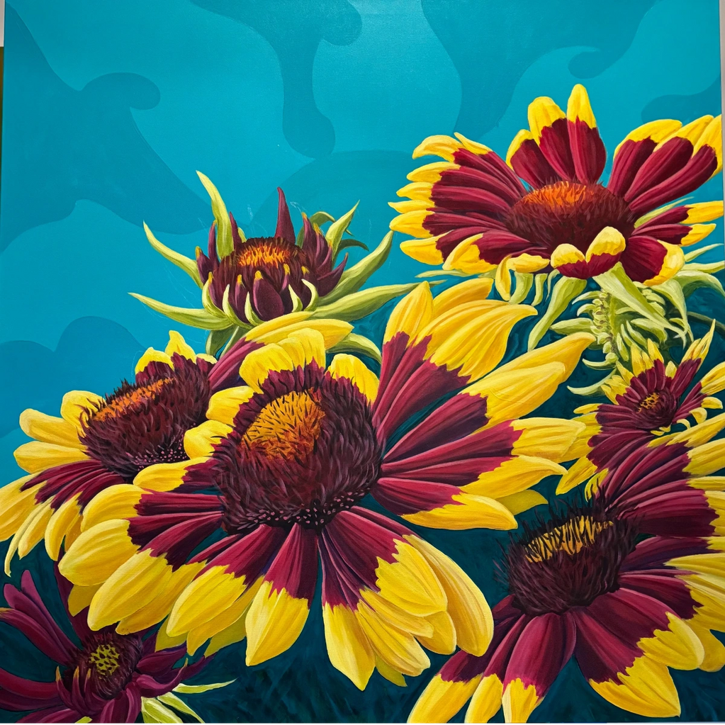 Big Ass Indian Blanket Wildflower
