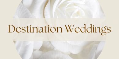 Elegant destination weddings design with white rose.