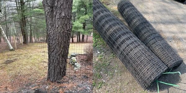 Mesh wire fencing installed around a tree and rolls of similar fencing material.