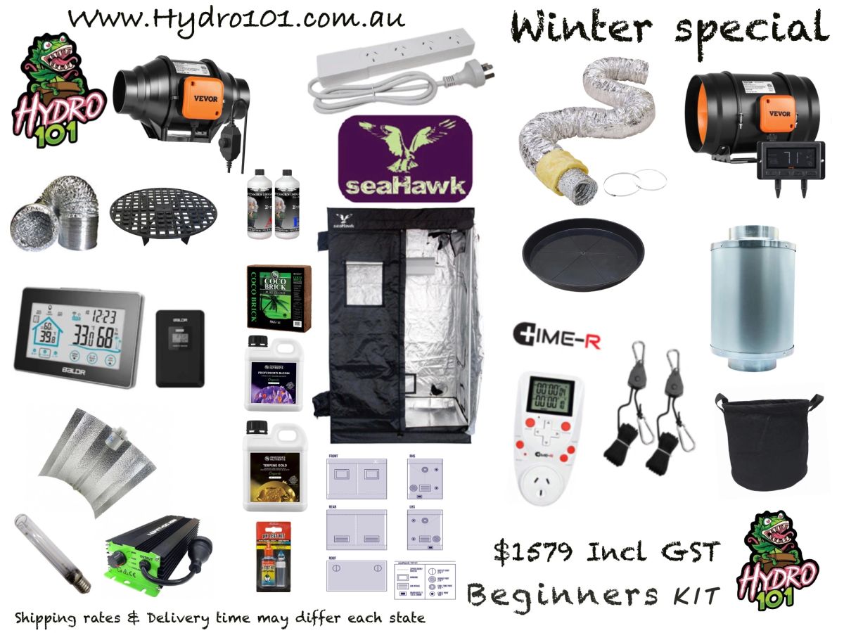 STARTER KIT BEGINNERS