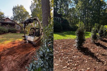 Excavation and landscaped area in a residential backyard.