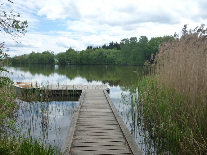 Bergteich Karpfenteam Wenigzell