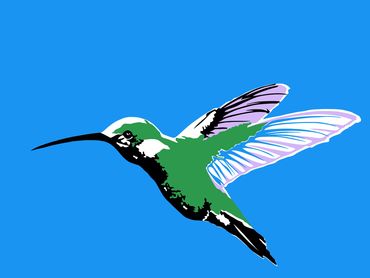 Hummingbird