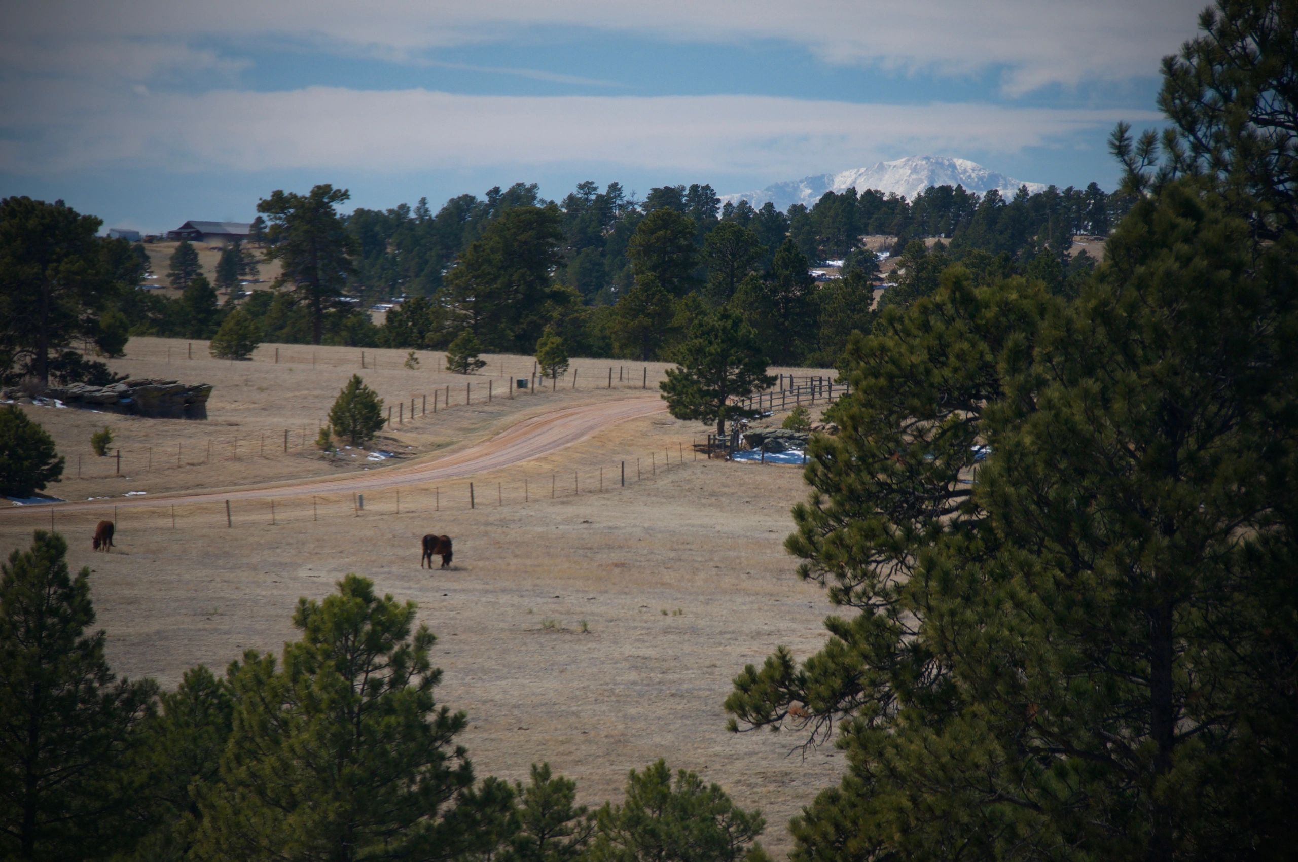 Harteis Ranch Colorado - ydj7mei