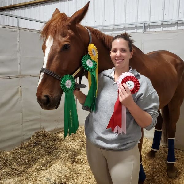 Horse Showing, Winning Ribbons, Horse Ownership