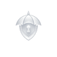 Ambrella Security