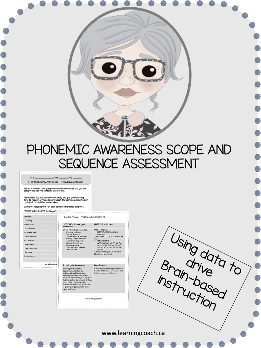 Phonemic Awareness Assessment 30 pages