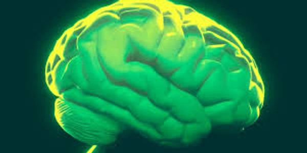 Image of a green brain