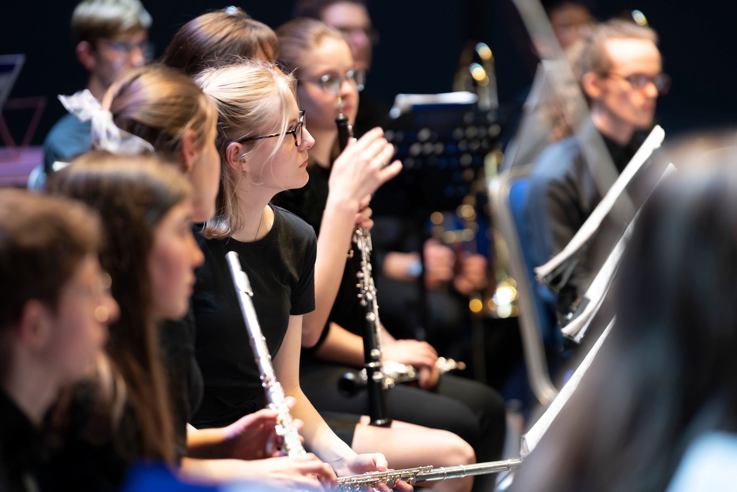 Friends of Norfolk County Youth Orchestra logo