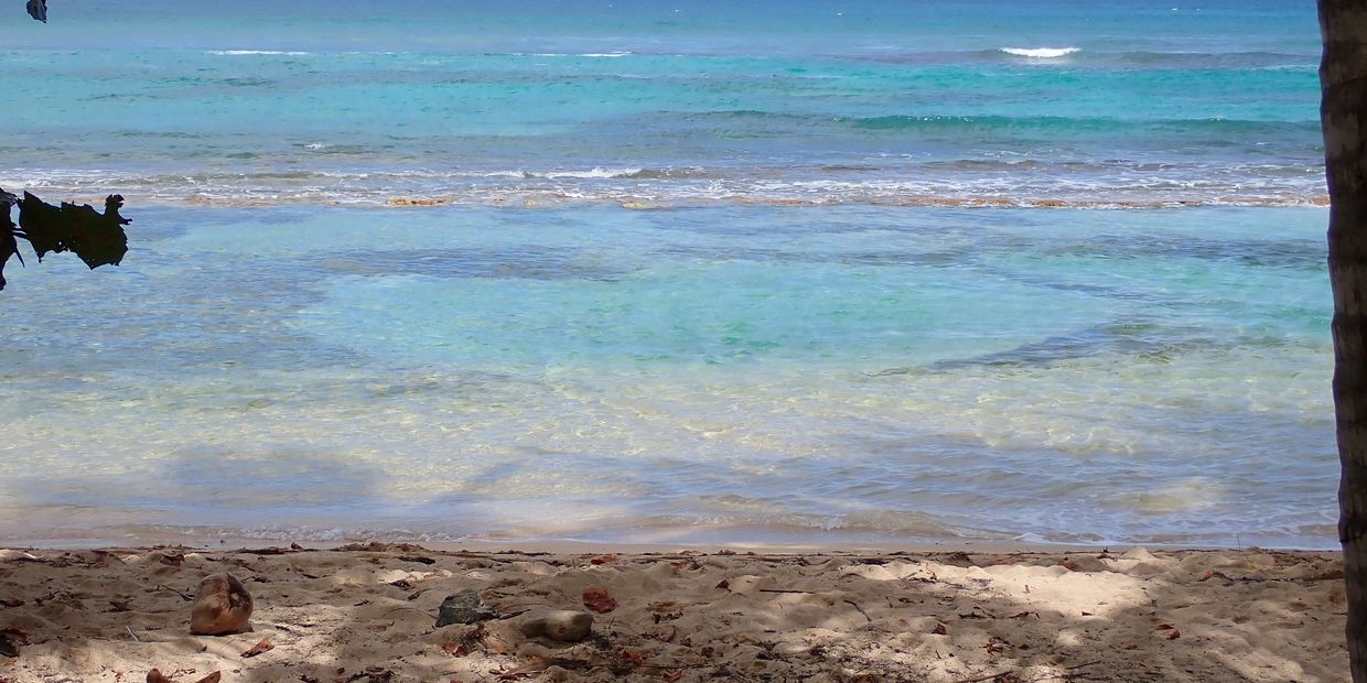 Calm beach with clear turquoise water and sandy shore.