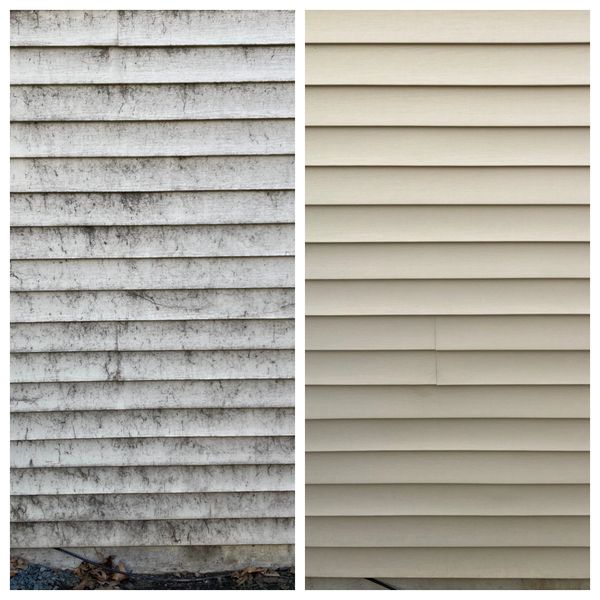 Xtreme Clean Softwash Spider  Removal Shakopee, Minnesota