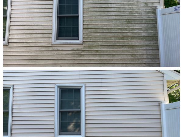 siding cleaning