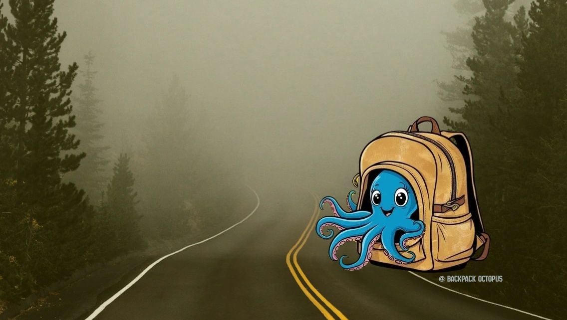 WHERE ROAD MEETS TREES
