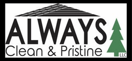 Always Clean & Pristine Portable Toilet Rental