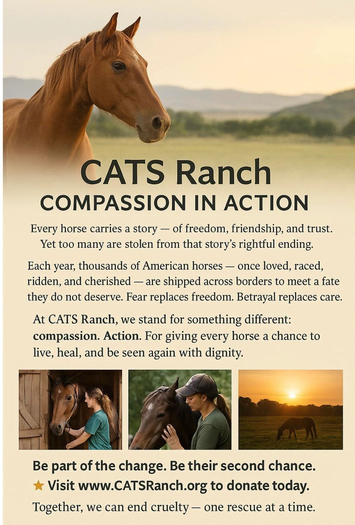 CATS Rescue Horse Ranch
