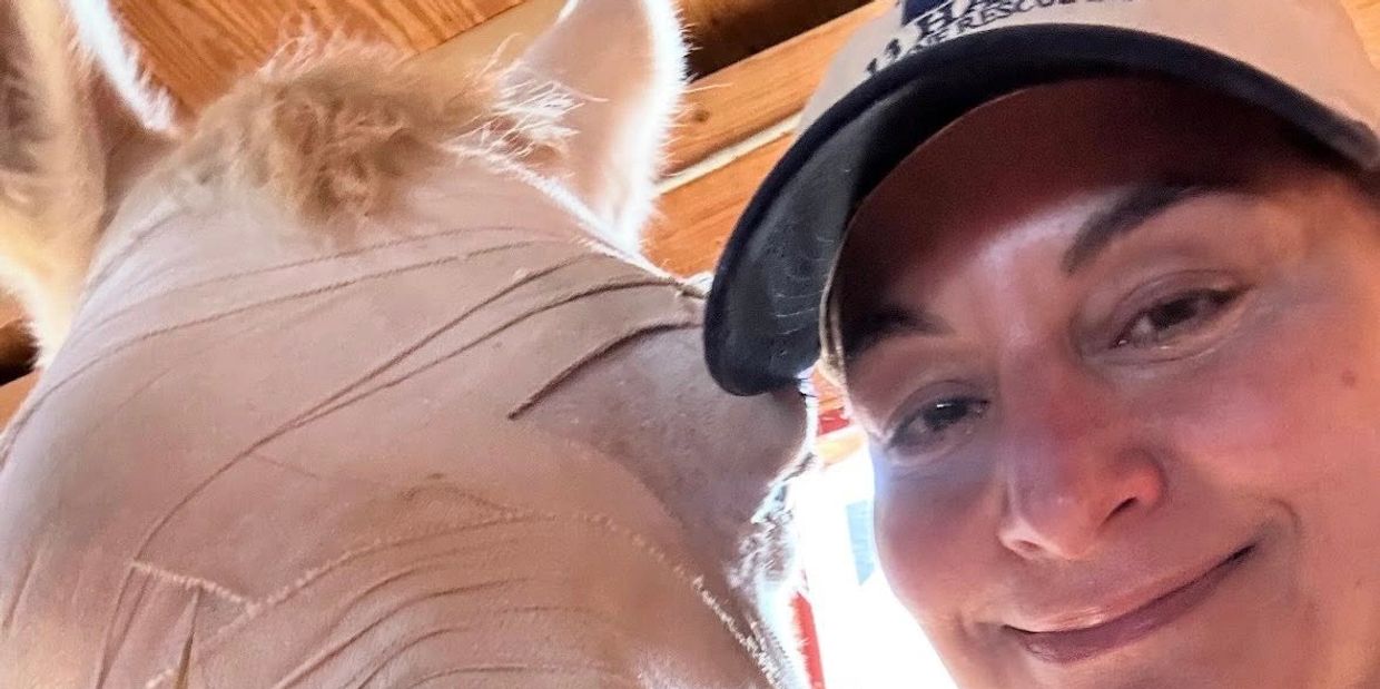 Crystal Blue rescue horse 