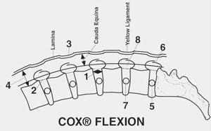 Benefits of Cox® Technic